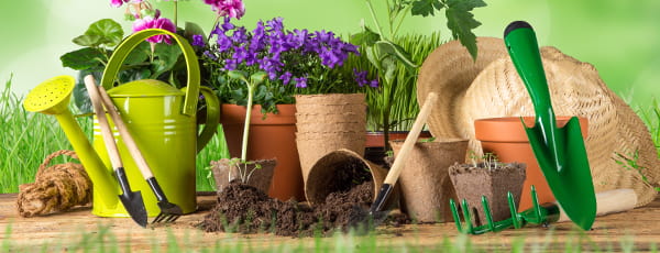 10 Tipps für den angehenden Gärtner - Haus und Garten 10 Tipps für den angehenden Gärtner
