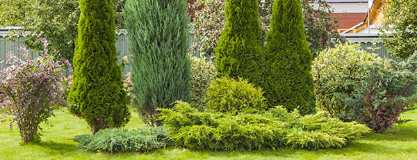 Gartentrends 2025: Der Garten als Erweiterung des Hauses, Mikrohölzer und Mocha Mousse (PANTONE)17-1230 - Haus und Garten Gartentrends 2025: Der Garten als Erweiterung des Hauses, Mikrohölzer und Mocha Mousse (PANTONE)17-1230