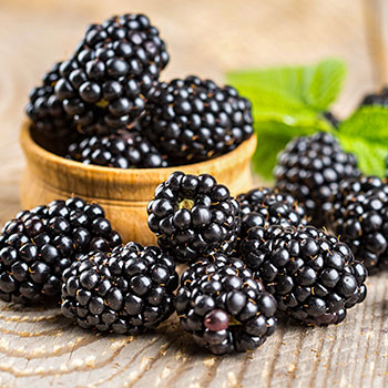 Brombeere