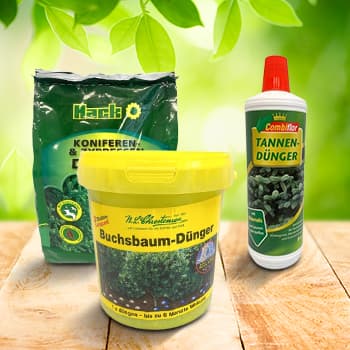 Für Koniferen
