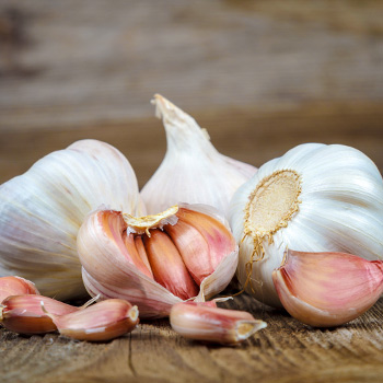 Knoblauch