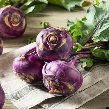 Kohlrabi Kohl