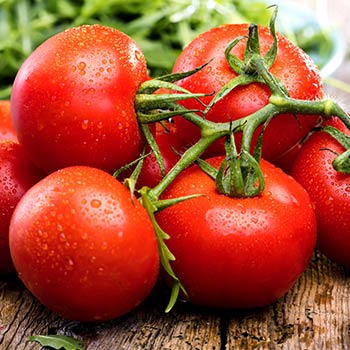 Tomate