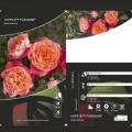 Beetrose Hippie™ Fashion ®, С3 interface.art Bild 2 Beetrose Hippie™ Fashion ®, С3 interface.image 2 interface.art 6174