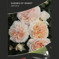 Beetrose Garden of Roses®, C5 interface.art Bild 2 Beetrose Garden of Roses®, C5 interface.image 2 interface.art 5822