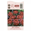 Beetrose Hot Cocoa®, C5 interface.image 5 interface.art 5509