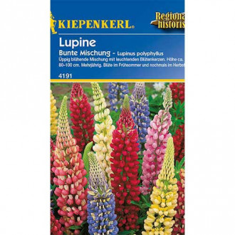 Lupine dauerhaft, mix interface.image 6