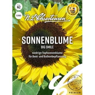 Sonnenblume Big Smile interface.image 1