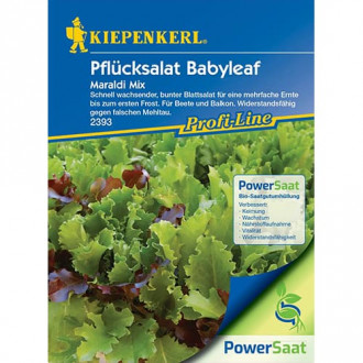 Pflücksalat Babyleaf Maraldi Mix interface.image 1