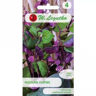 Ägyptische Bohne, rosa und violett Legutko interface.image 3