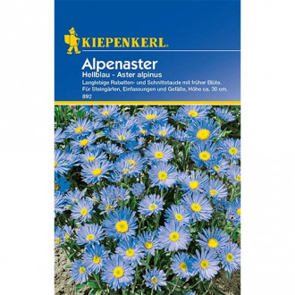 Alpenaster Hellblau interface.image 2