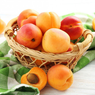 Aprikose Bebeco Bild 15 Aprikose Bebeco interface.image 15