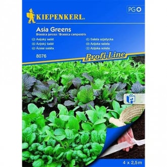 Asia - Salate (Saatband) Kiepenkerl interface.image 3