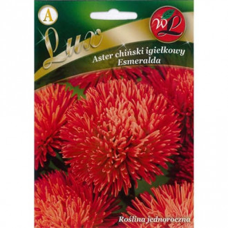 Aster Esmeralda rot Bild 16 Aster Esmeralda rot interface.image 16
