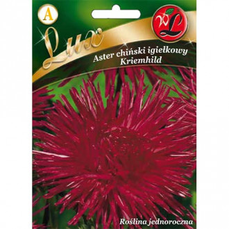 Aster Kriemhild rubinrot Bild 17 Aster Kriemhild rubinrot interface.image 17