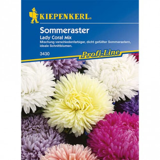 Sommeraster Lady Coral Mischung Bild 7 Sommeraster Lady Coral Mischung interface.image 7