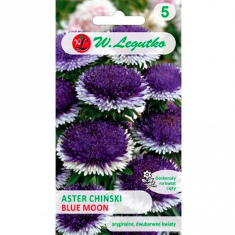 Aster Liliput Blue Moon Legutko Bild 10 Aster Liliput Blue Moon Legutko interface.image 10