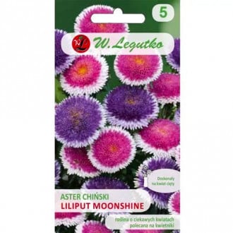 Aster Liliput Moonshine Legutko interface.image 2