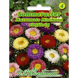 Sommeraster Matsumoto Mischung Bild 9 Sommeraster Matsumoto Mischung interface.image 9