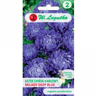 Aster Milady Deep Blue Legutko interface.image 1