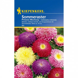 Sommeraster Prinzess Mischung interface.image 3