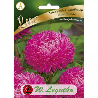 Aster Rosamunde rose interface.image 6