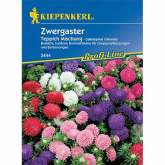 ZWERGASTER, TEPPICH MISCHUNG Bild 17 ZWERGASTER, TEPPICH MISCHUNG interface.image 17