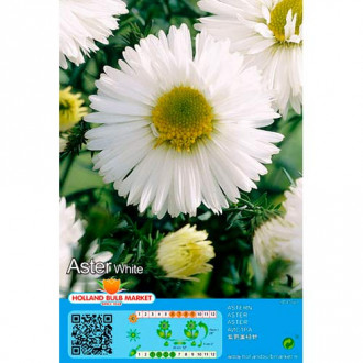 Aster White interface.image 5