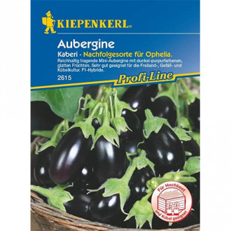 Aubergine Kaberi F1 interface.image 5