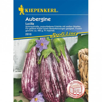 Aubergine Lucilla F1 interface.image 1