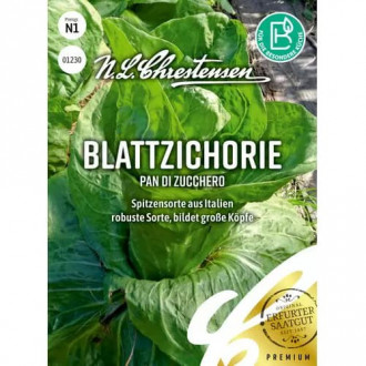 Blattzichorie Pan di zucchero interface.image 4