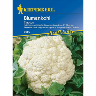 Blumenkohl Clapton F1 interface.image 6