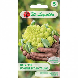 Blumenkohl Romanesco natalino interface.image 4