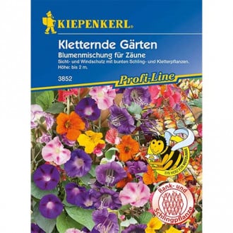 Blumenmischung Kletternde Gärten interface.image 6