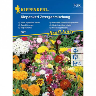 Blumenmischung Schmetterlingswiese interface.image 6