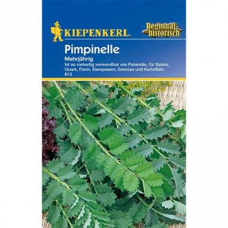 Pimpinelle interface.image 1