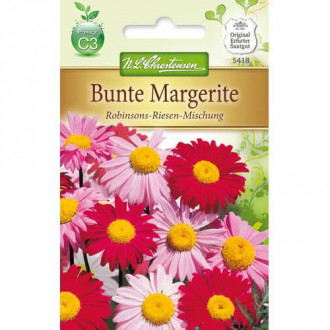 Bunte Margerite Robinsons Riesen interface.image 4