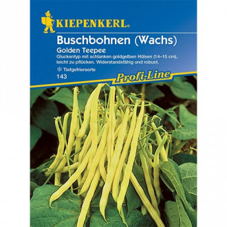 Buschbohne Golden Teepee Kiepenkerl Bild 16 Buschbohne Golden Teepee Kiepenkerl interface.image 16