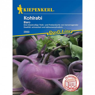 Kohlrabi Blaro Bild 8 Kohlrabi Blaro interface.image 8