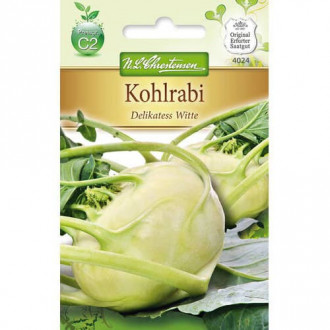 Kohlrabi Delikatess weisser interface.image 2