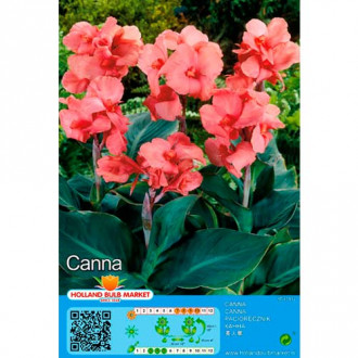 Canna Pink interface.image 4