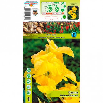 Canna Richard Wallace Bild 14 Canna Richard Wallace interface.image 14