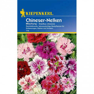 Chineser - Nelken Mischung interface.image 3