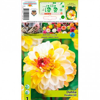 Dahlie Double Jill Bild 10 Dahlie Double Jill interface.image 10