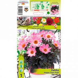 Dahlie Happy Days Pink interface.image 3