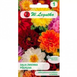 Dahlie Unwins mischung Legutko interface.image 17