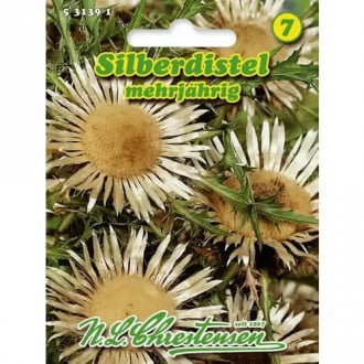 Silberdistel Chrestensen interface.image 1