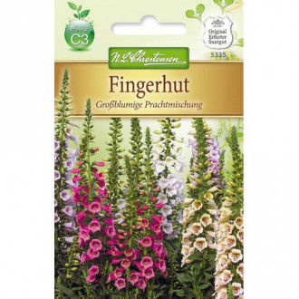 Fingerhut Großblumige Prachtmischung interface.image 2