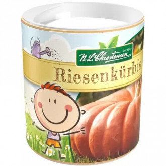 Dose Gartenkinder Riesenkürbis Bild 14 Dose Gartenkinder Riesenkürbis interface.image 14