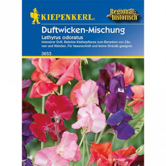 Duftwicken Mischung Bild 8 Duftwicken Mischung interface.image 8